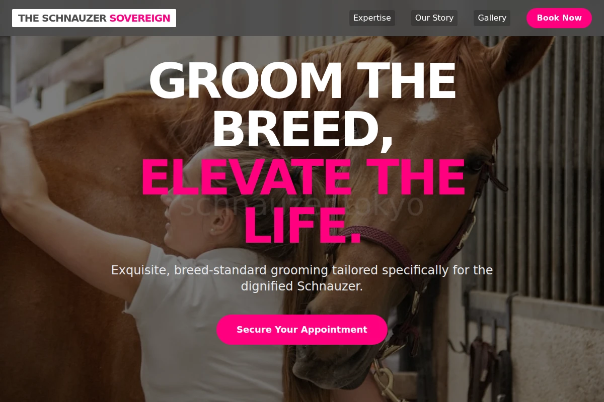 City Animal Care