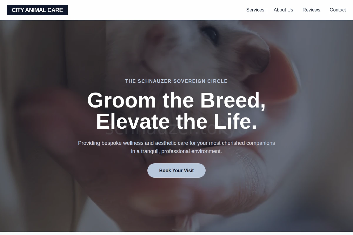 City Animal Care