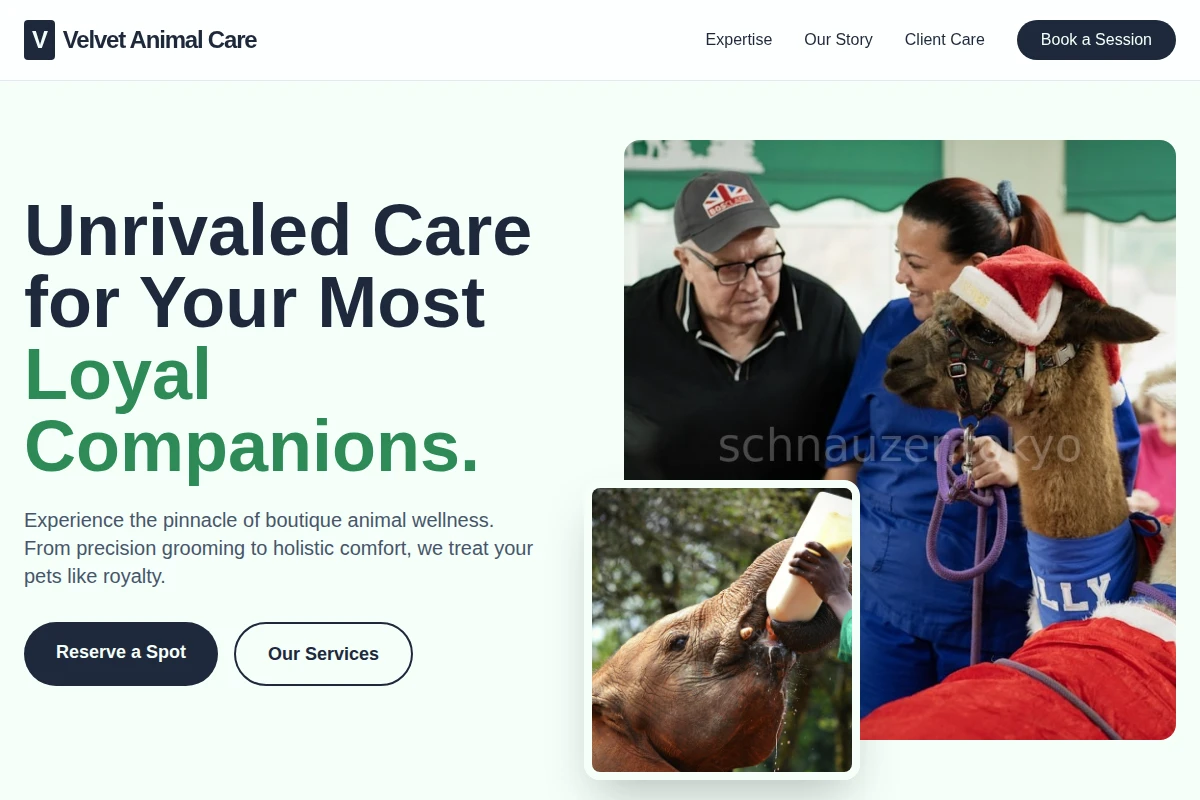 Velvet Animal Care