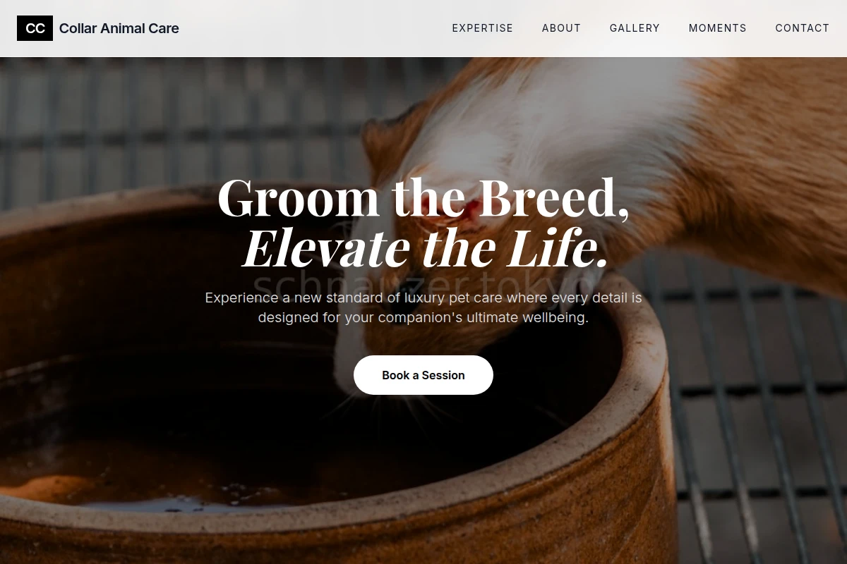 Collar Animal Care