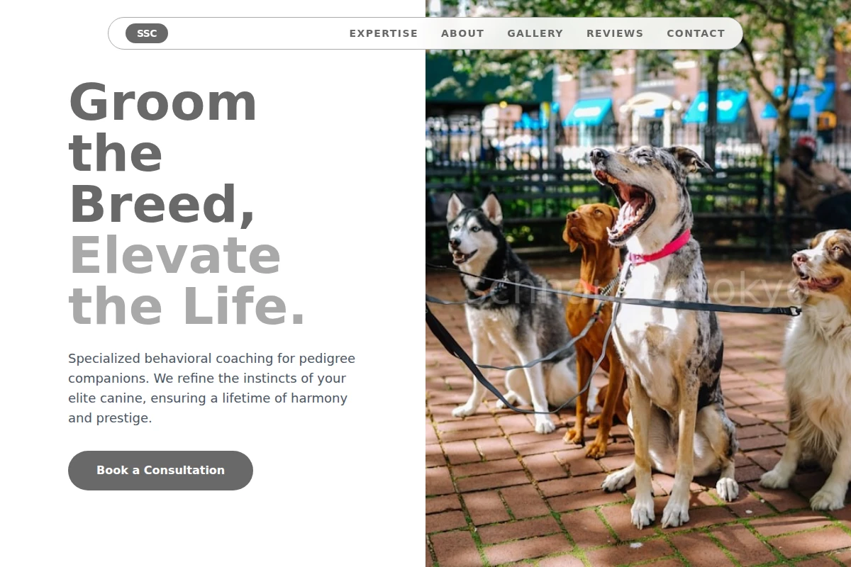 Pedigree Dog Training