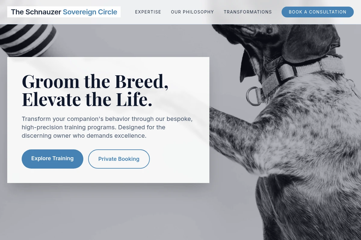 Stylist Dog Training