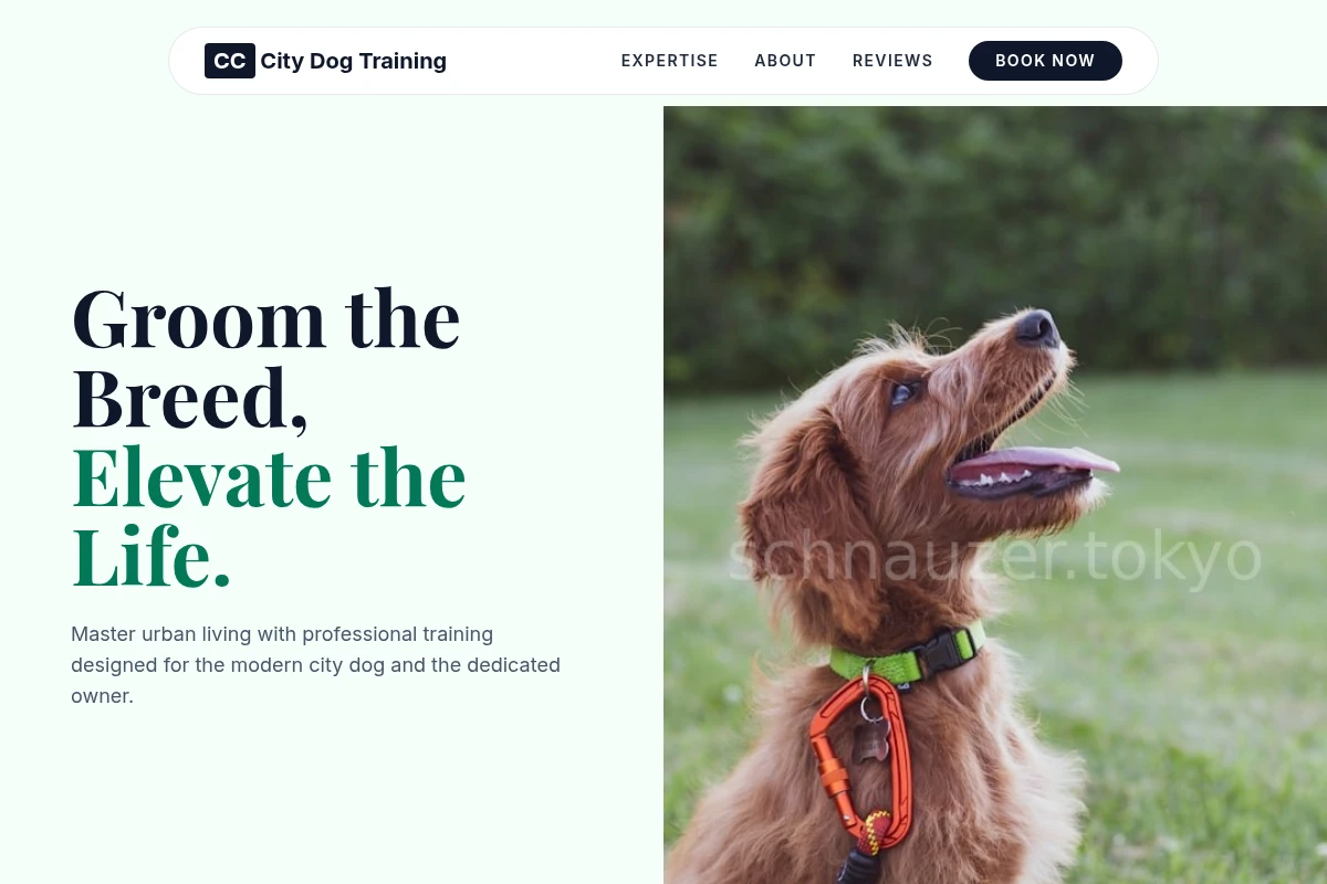 City Dog Training