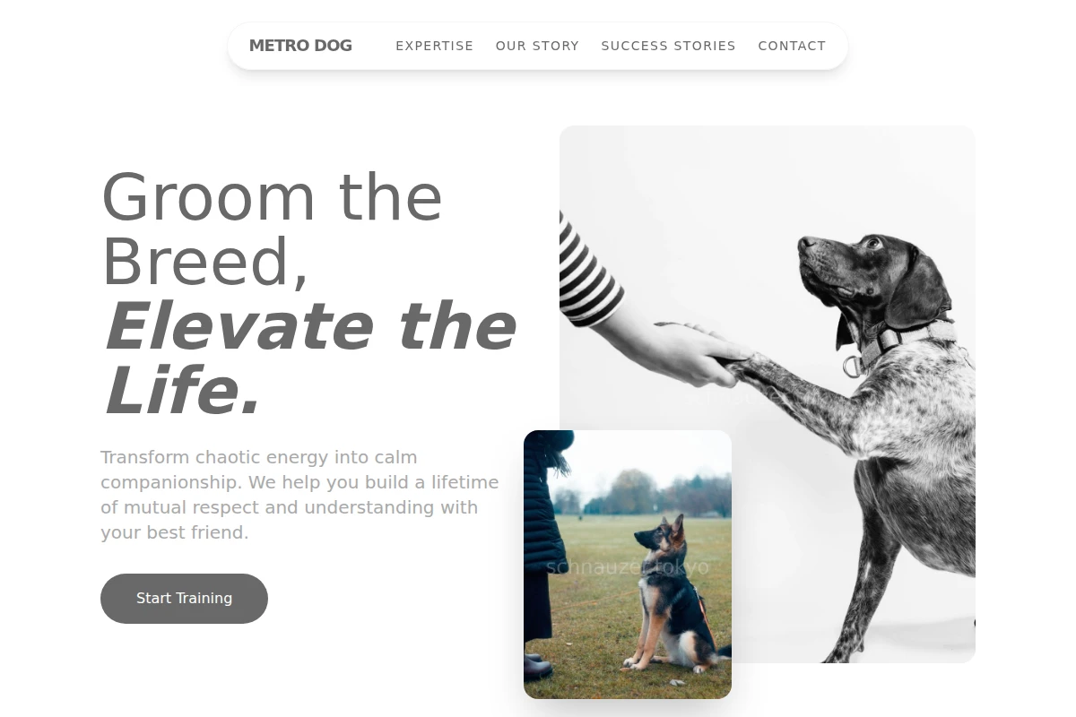 Metro Dog Training