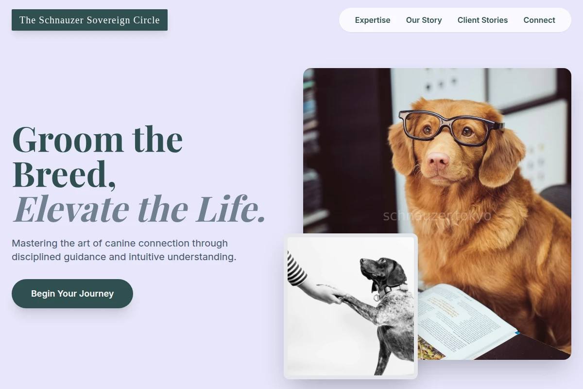Groomed Dog Training