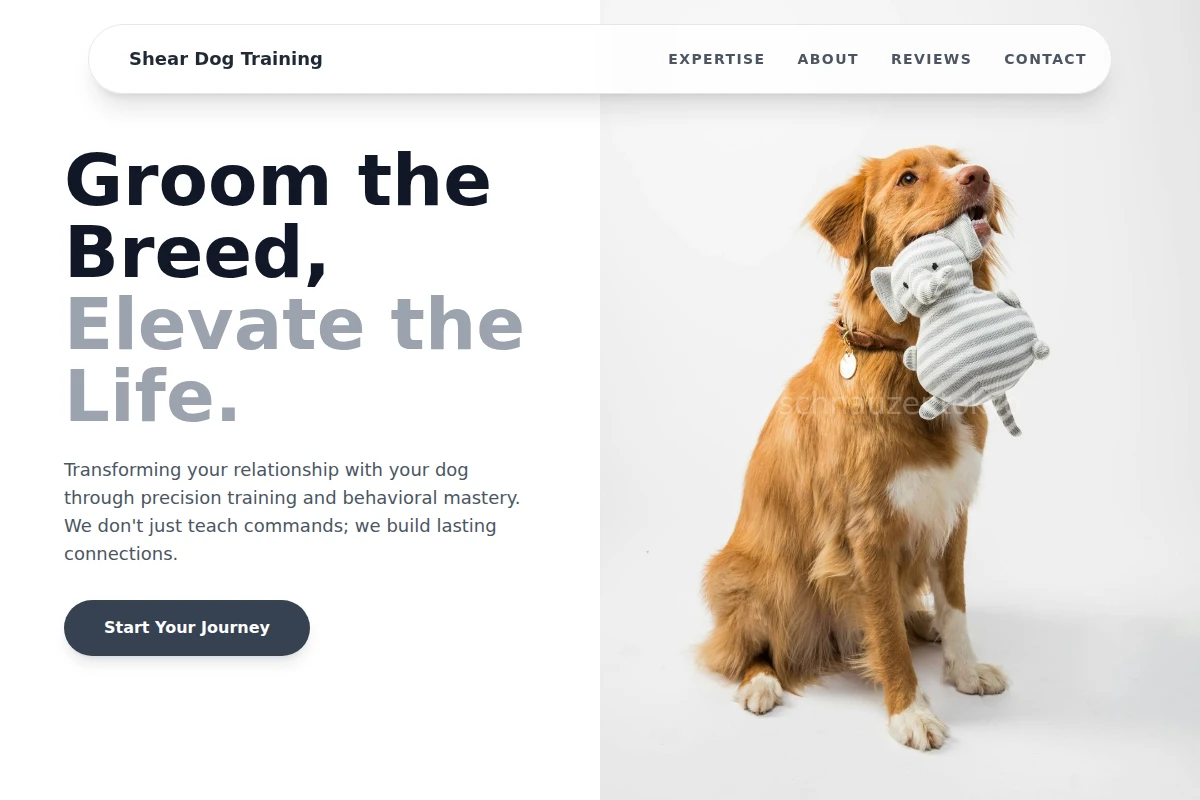 Shear Dog Training