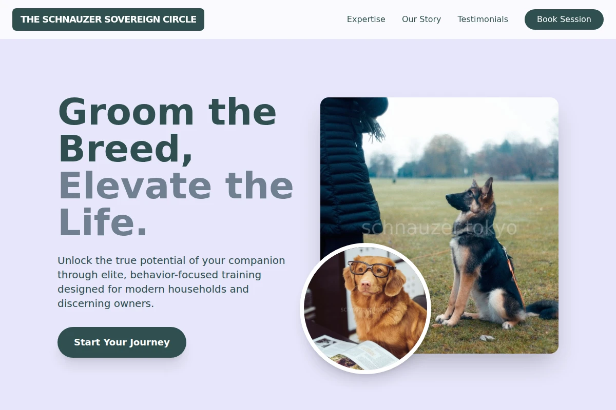 Paw Dog Training