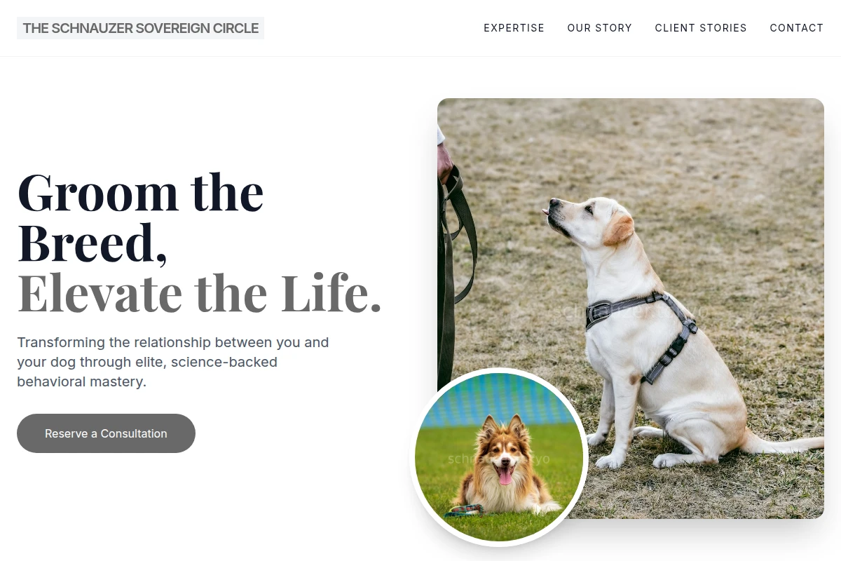 Care Dog Training