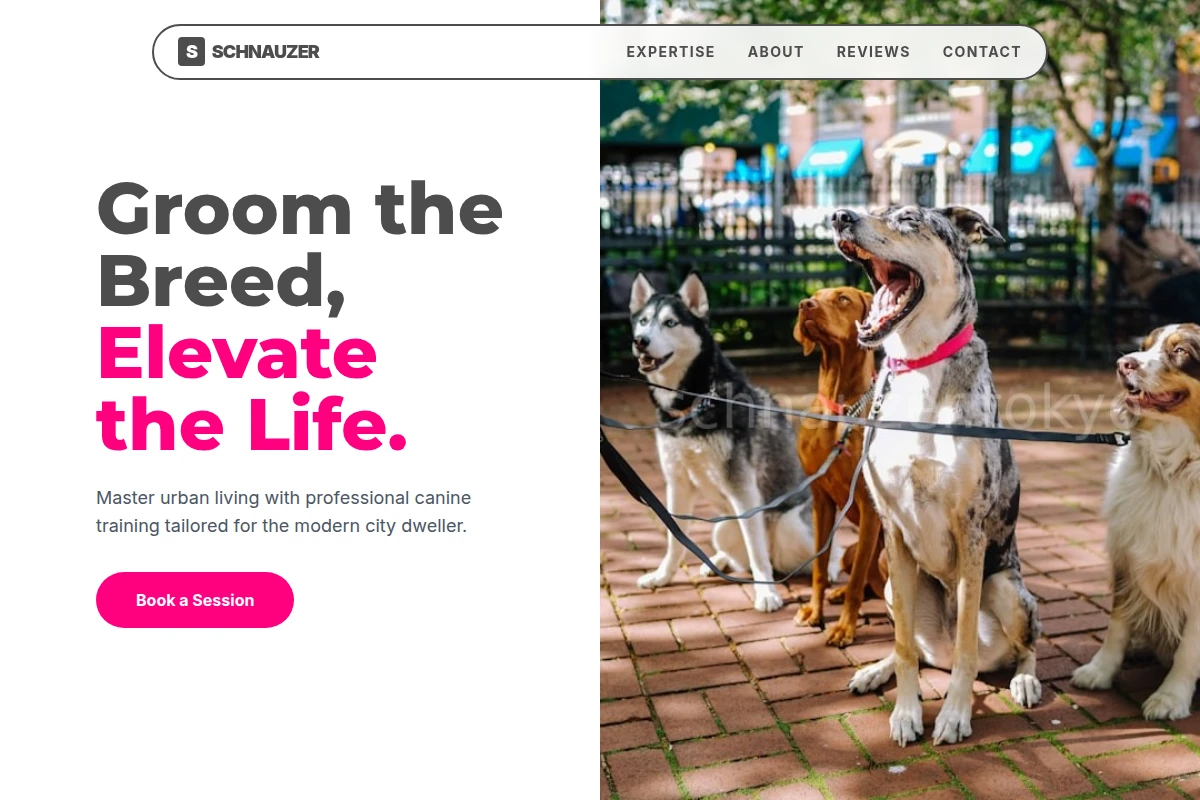 Urban Dog Training