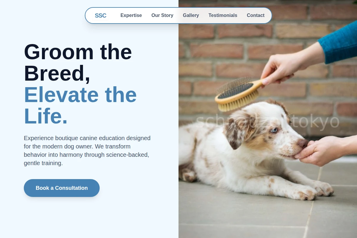 Boutique Dog Training