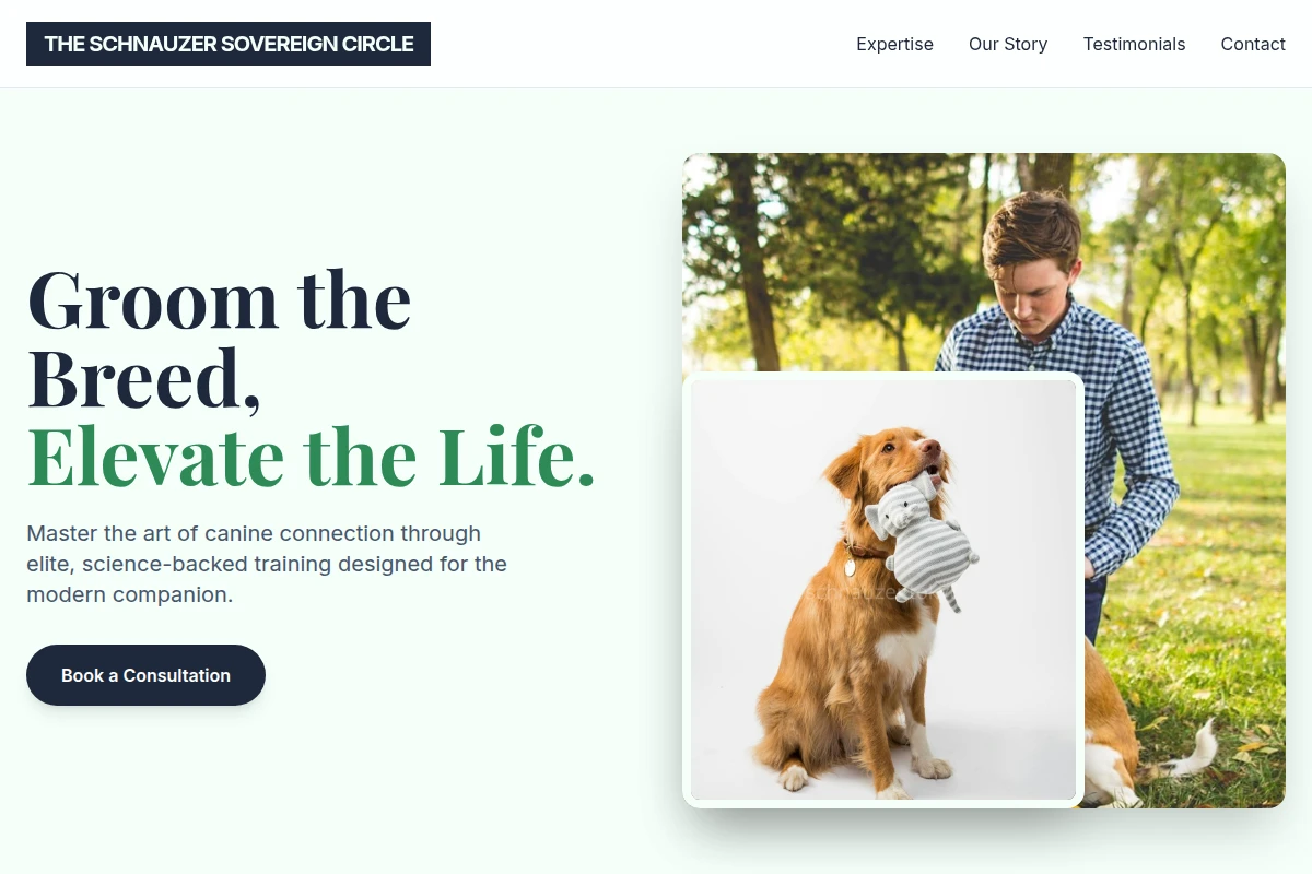 Collar Dog Training