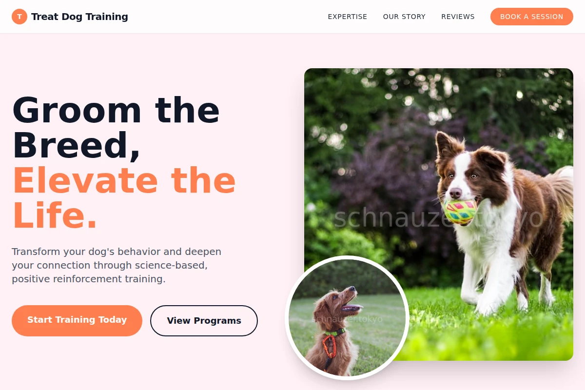 Treat Dog Training