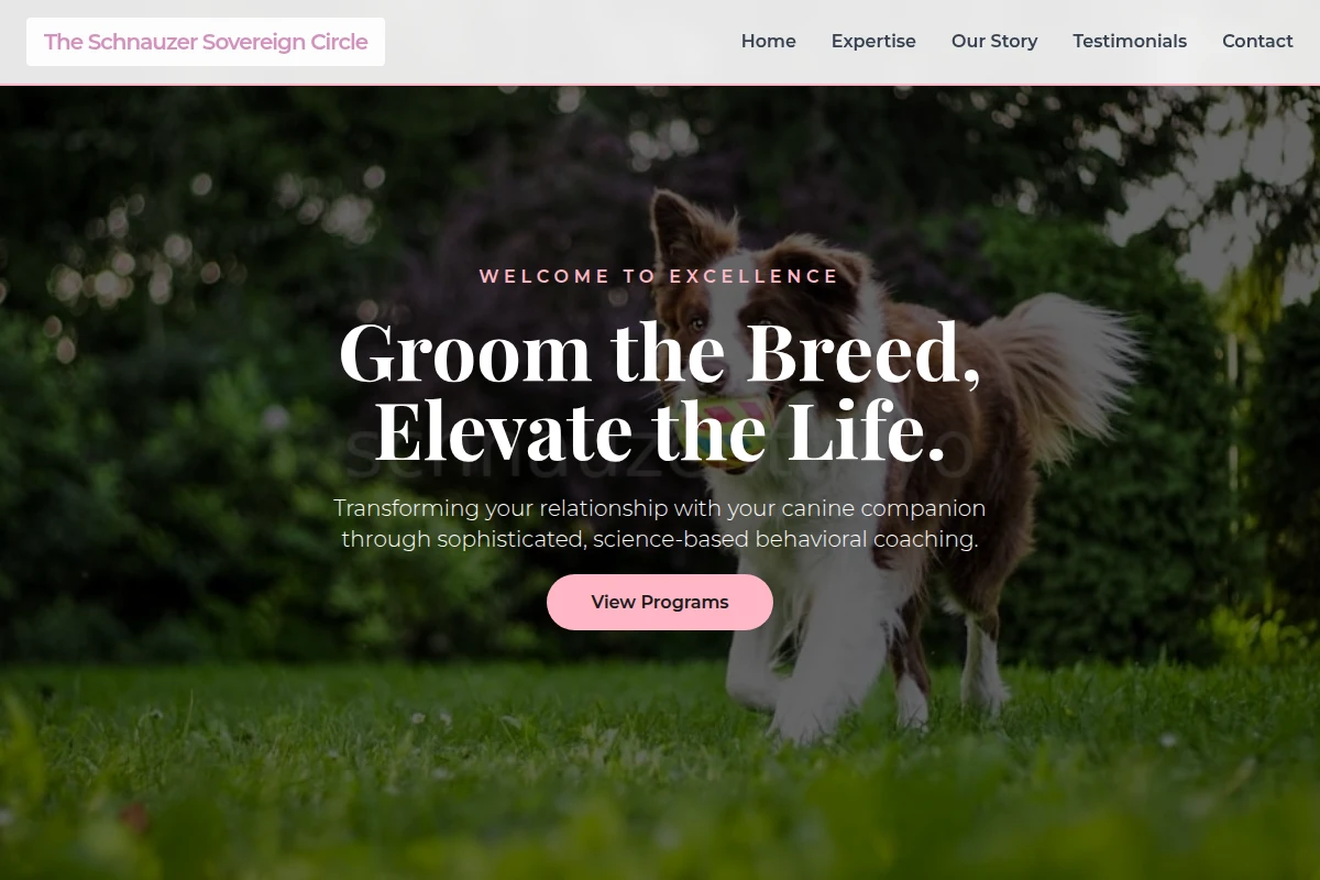 Stylist Dog Training