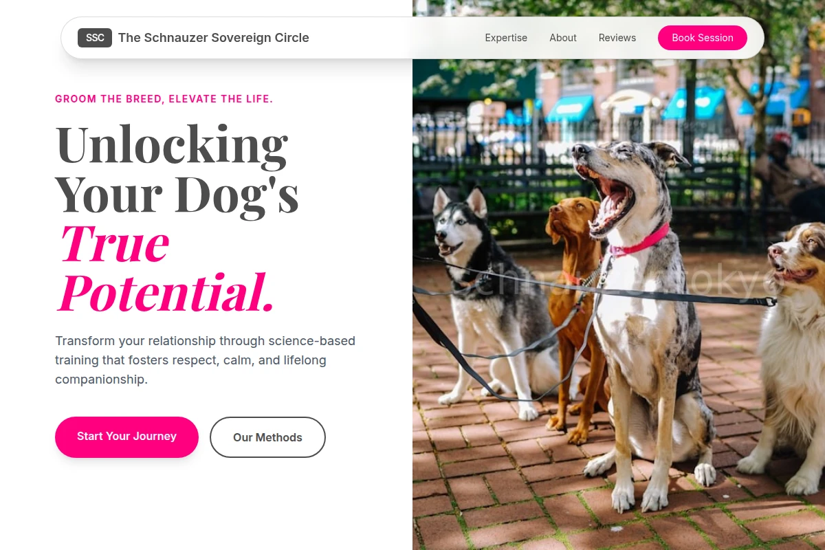 Groomed Dog Training