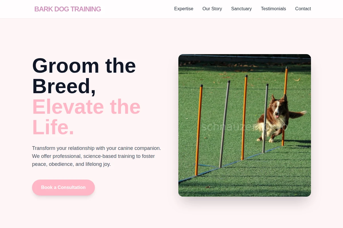Bark Dog Training