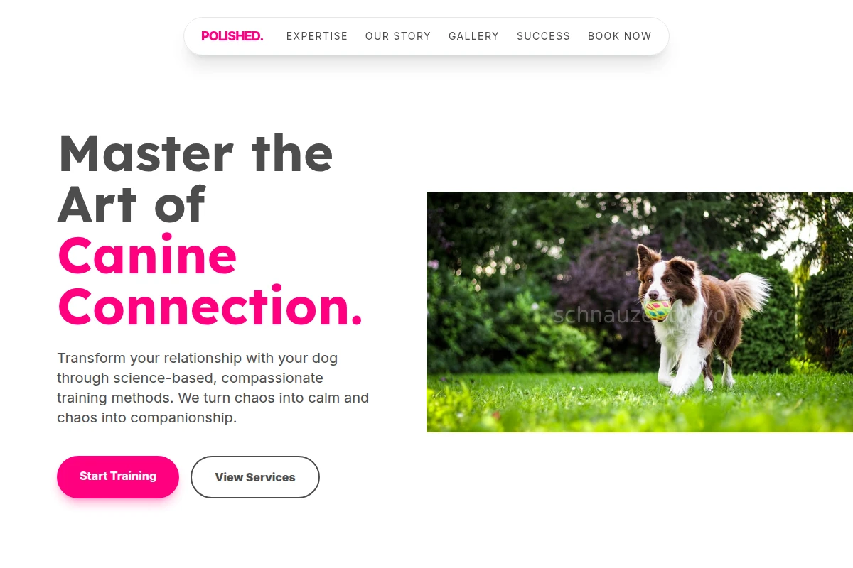 Polished Dog Training