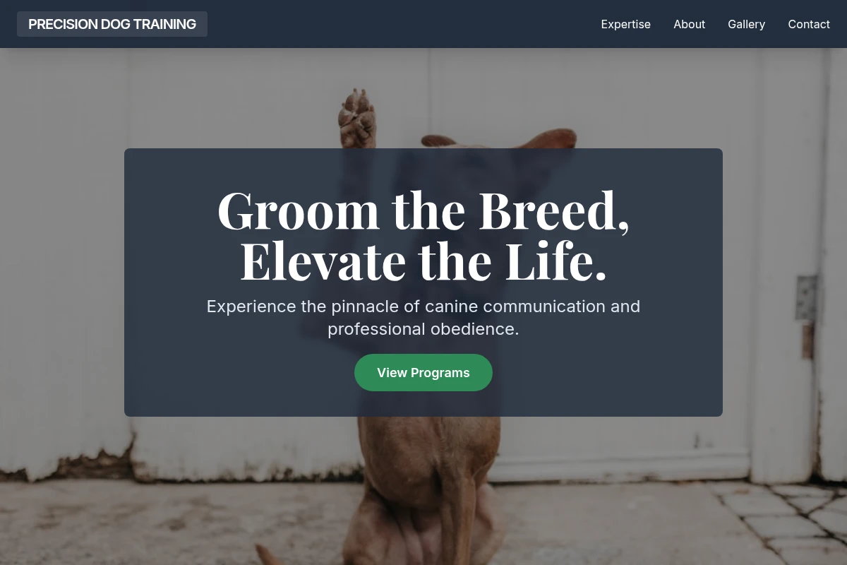 Precision Dog Training