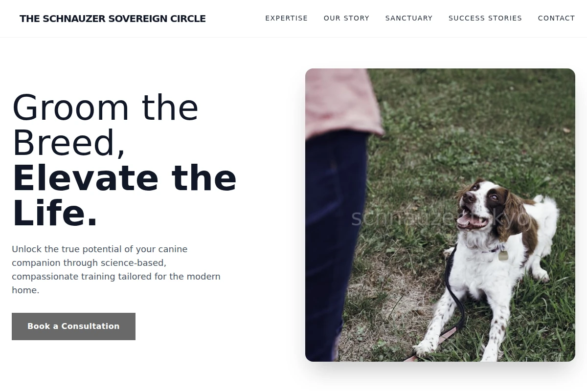 Training Dog Training