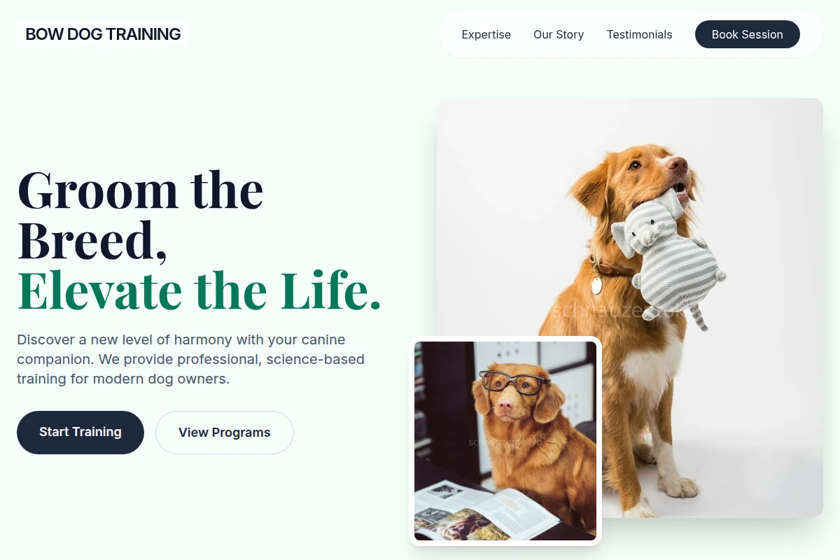 Bow Dog Training