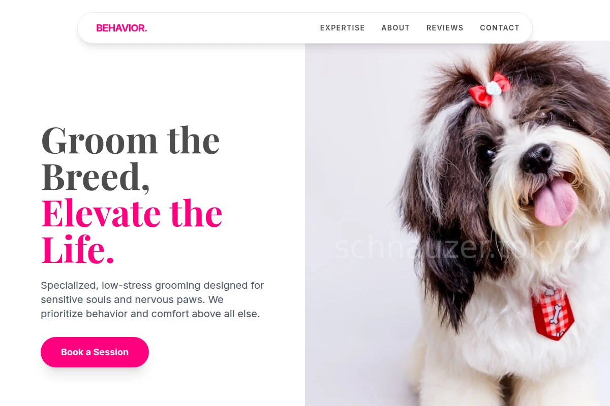 Behavior Pet Grooming