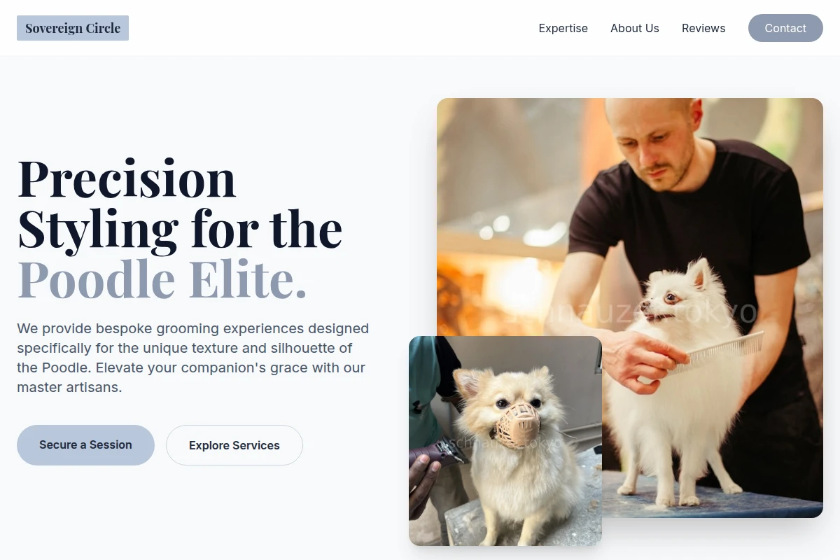 Poodle Pet Grooming