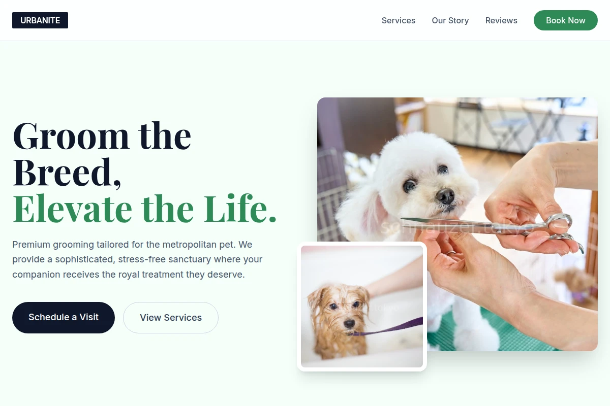 pet-grooming