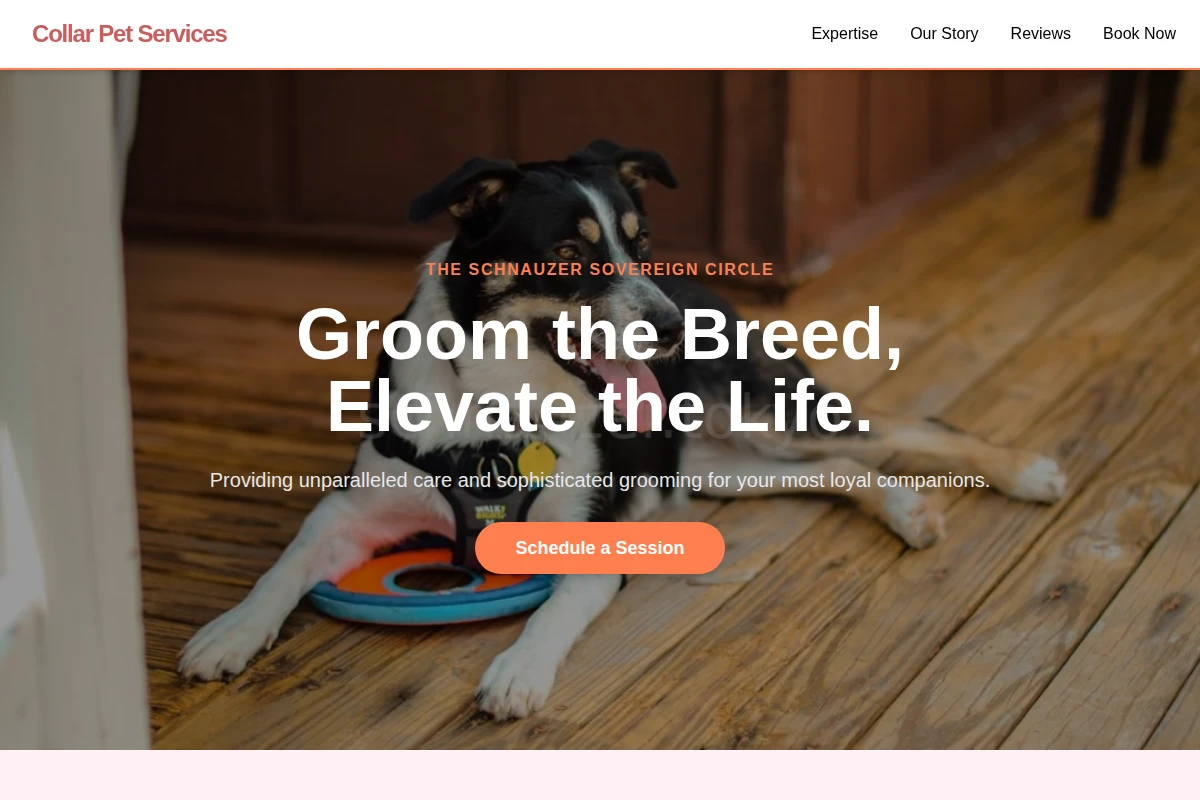 pet-services