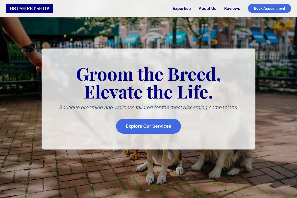Brush Pet Shop